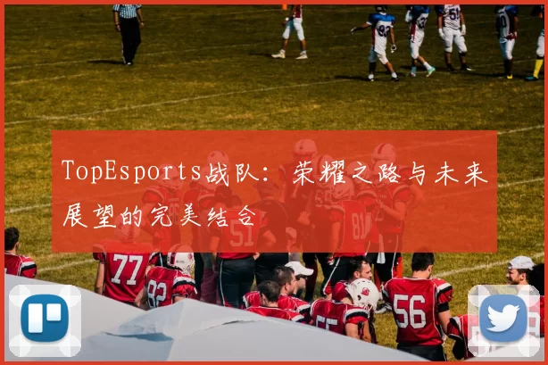 TopEsports战队：荣耀之路与未来展望的完美结合