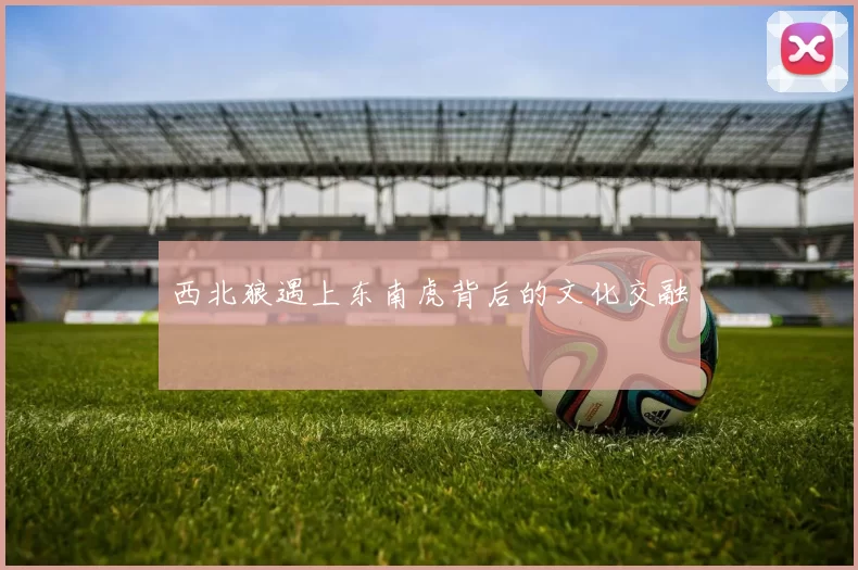 西北狼遇上东南虎背后的文化交融