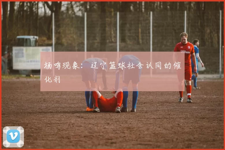 杨鸣现象：辽宁篮球社会认同的催化剂